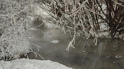 «ЮжУралВодоканал» оштрафовали за сброс неочищенных вод в Шершневское водохранилище