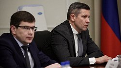 В Челябинской области поддержат импортозамещение