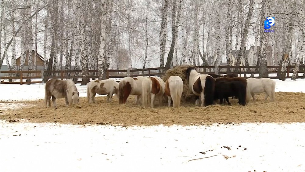 На сельхозземле можно построить жилье