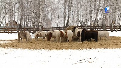 На сельхозземле можно построить жилье