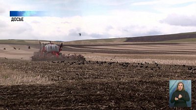 Южноуральские фермеры получат 3,5 миллиарда