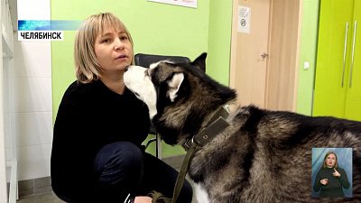 Волонтеры взялись за перевоспитание собаки