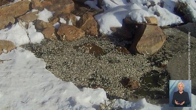 В Челябинской области задержали браконьеров