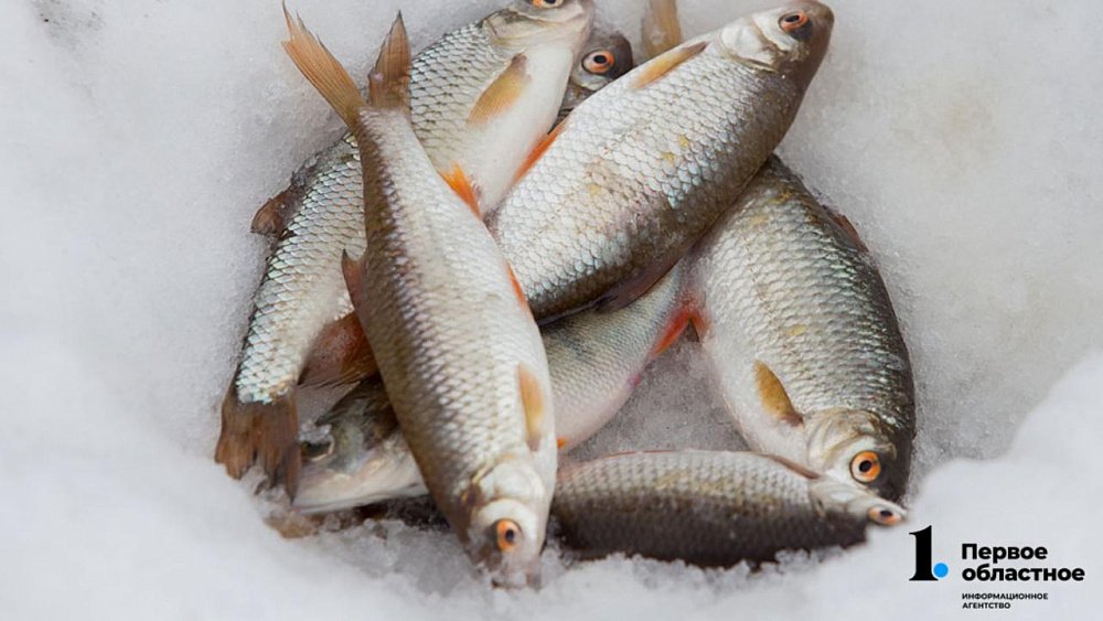 В Челябинской области рыбаков задержали с незаконным уловом на 60 тысяч рублей