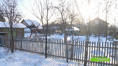 Зеленая передача 10.03.2022