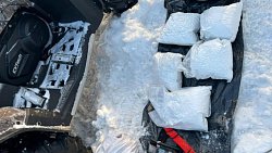 Под Челябинском четверых мужчин задержали с 9 кг наркотиков