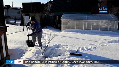 Работы в саду после снегопадов в рубрике «Руки садовода»