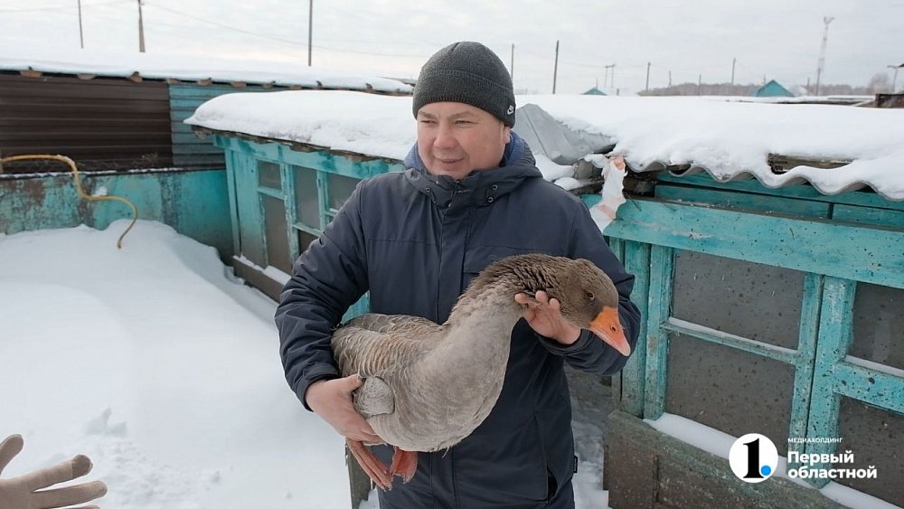 Фермер из Яраткулова готов накормить гусятиной посетителей ресторанов Челябинской области