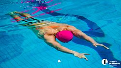 Южноуральцы завоевали два десятка медалей на чемпионате УрФО по плаванию