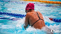 Южноуральцы завоевали два десятка медалей на чемпионате УрФО по плаванию