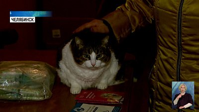 Бесплатные прививки против бешенства