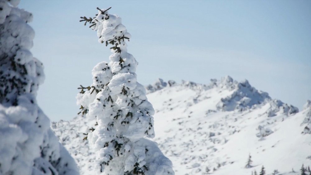 Происшествия недели 12.03.2022
