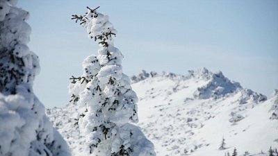 Происшествия недели 12.03.2022