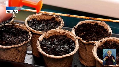 Садоводы готовятся к дачному сезону