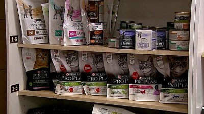 Эксперты объяснили, как найти замену импортному корму для животных