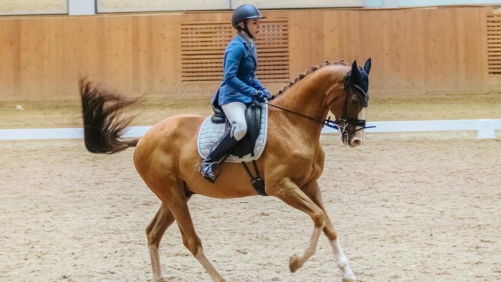 В Челябинской области пройдут состязания по конному спорту «Весенний праздник»
