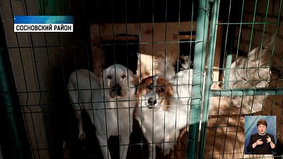 Четверть века самому старому приюту Челябинска