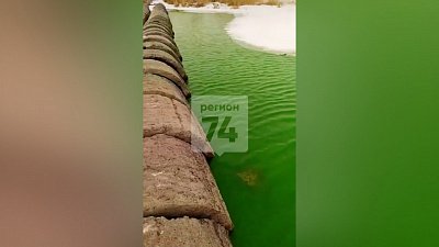 В Челябинске озеро Смолино окрасилось в зеленый цвет