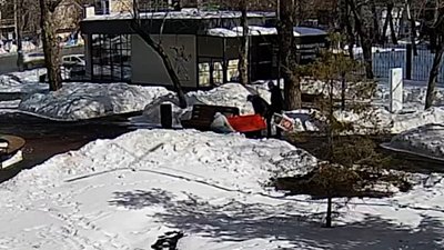 В Челябинске украли арт-объект для нового проекта буккроссинга