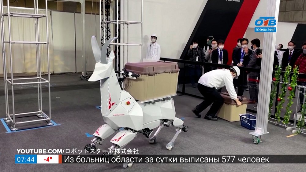 Представители IT-фауны в рубрике «Инспектор Гаджет»