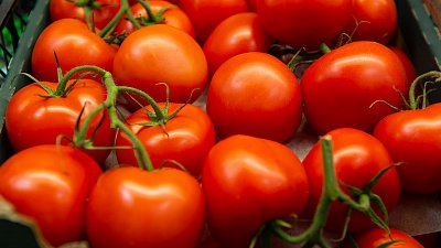 Импорт овощей и фруктов в Челябинскую область сократился на 30%