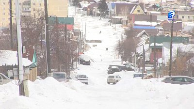 В Миассе выявили бешенство