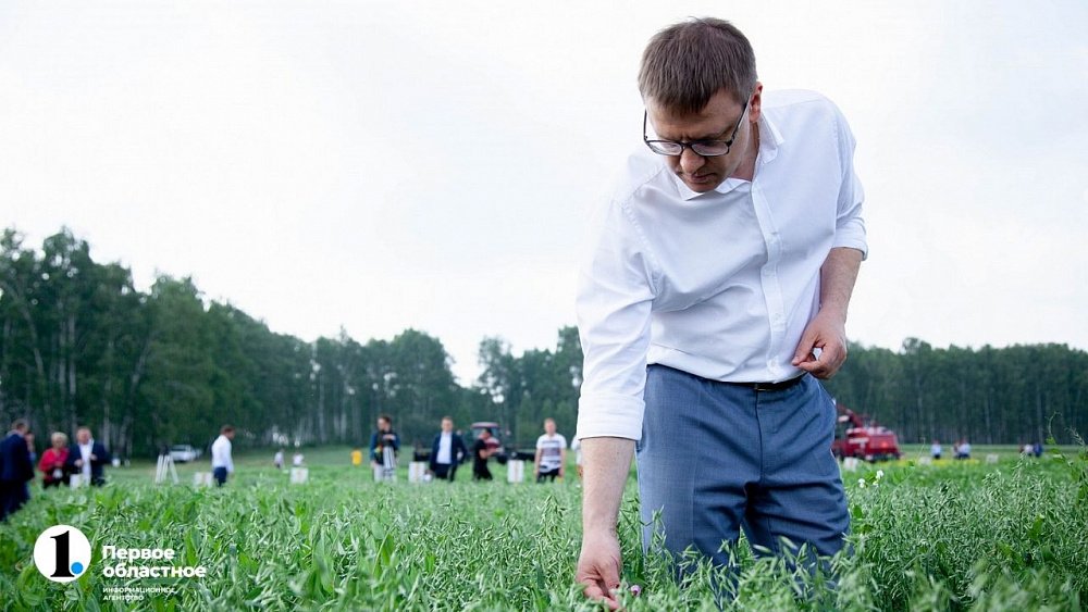 В Челябинской области увеличат посевные площади