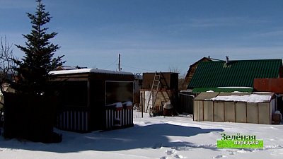 Зеленая передача 24.03.2022