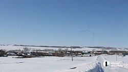 Бананы в снегах: как на юге Челябинской области пенсионеры выращивают экзотические фрукты