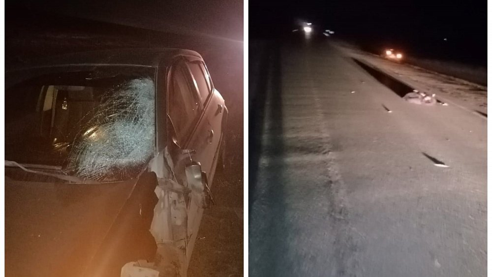 На трассе в Челябинской области насмерть сбили 20‑летнего пешехода