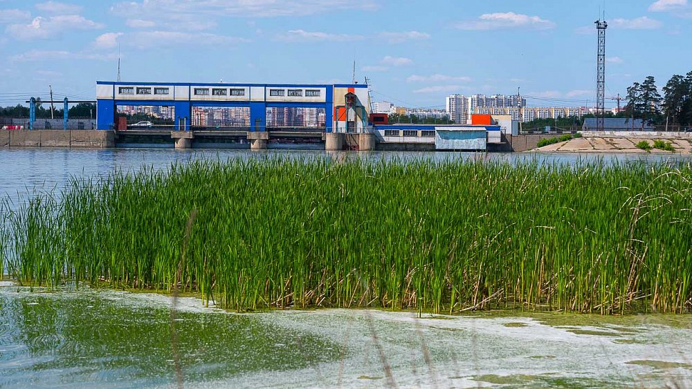 Московские океанографы разработают проект реабилитации Шершней за 14 млн рублей