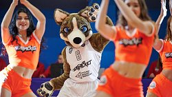 «Не вижу смысла ломать систему ради достижения сиюминутного результата» — Николай Сандаков