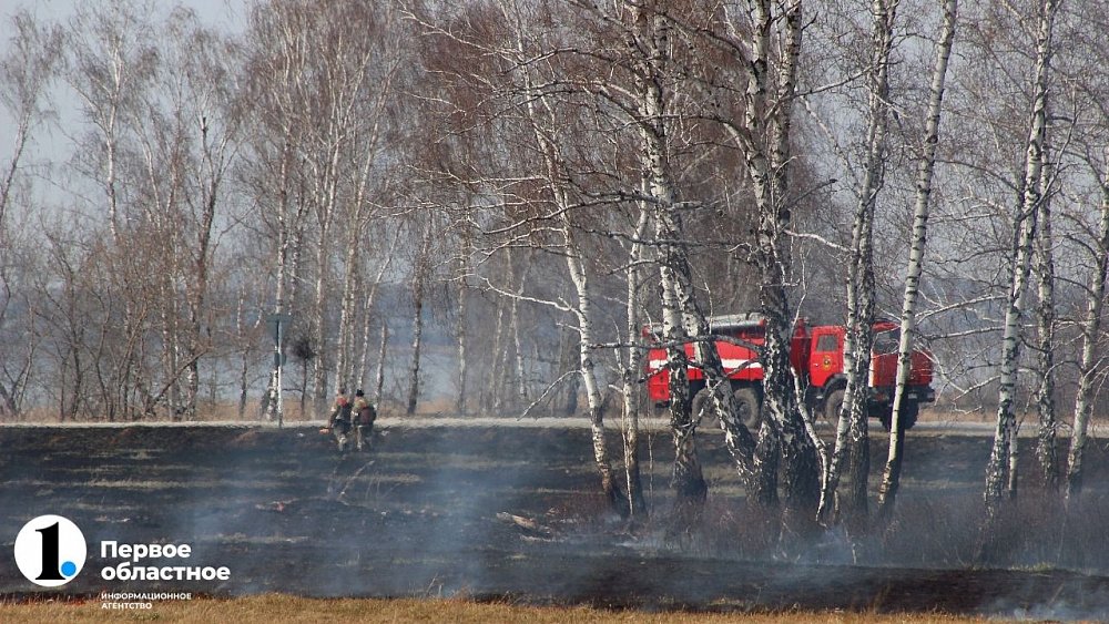 В Челябинской области объявлен пожароопасный сезон