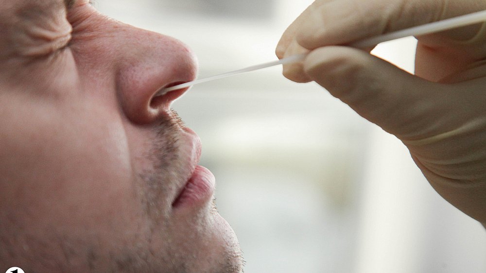 Роспотребнадзор отменил ПЦР‑тест для въезжающих через сухопутную границу