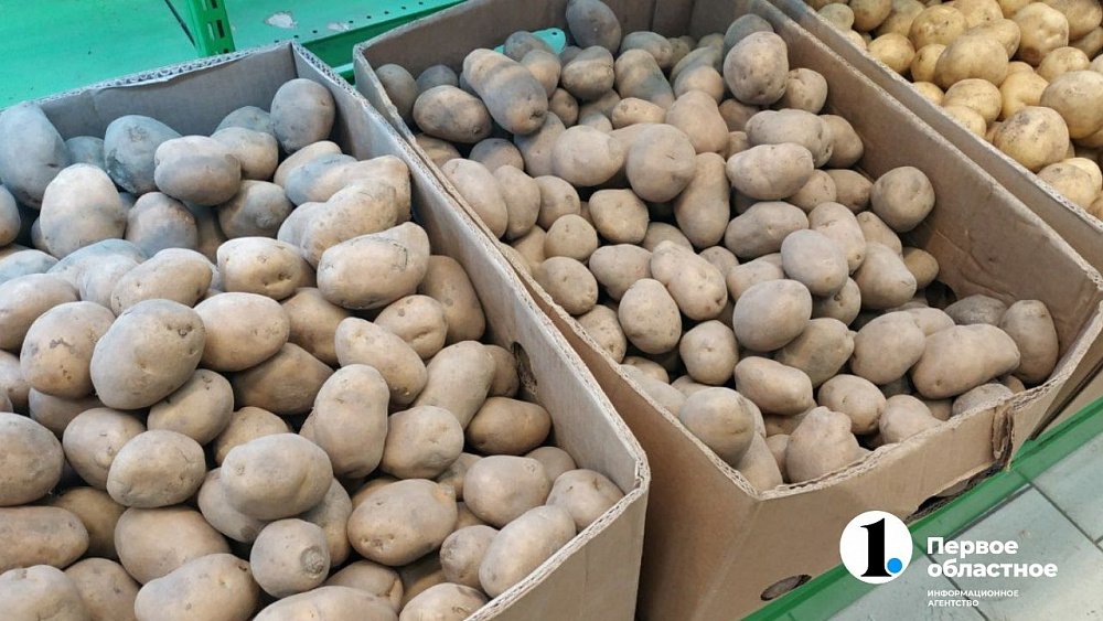 В 2022 году больше южноуральцев планируют выращивать картофель на своих дачах