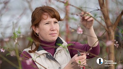 Челябинские садоводы хотят передавать заброшенные участки желающим возделывать землю