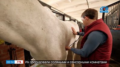 Профессии на конюшне в сюжете