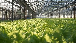 Кухня, одежда и туризм: чем жителям Челябинской области может быть интересен Узбекистан