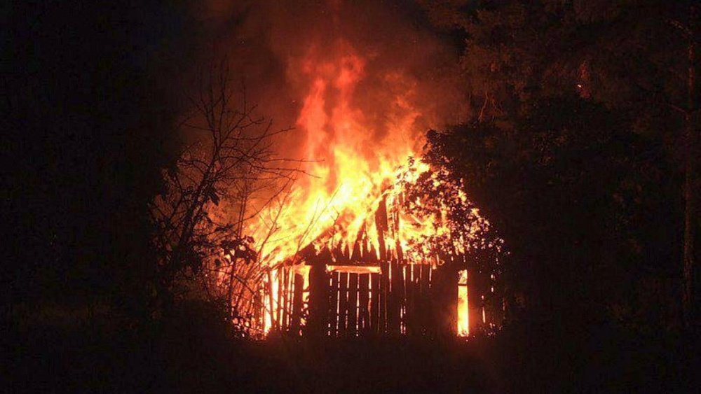 На пожаре в селе Челябинской области погибли куры