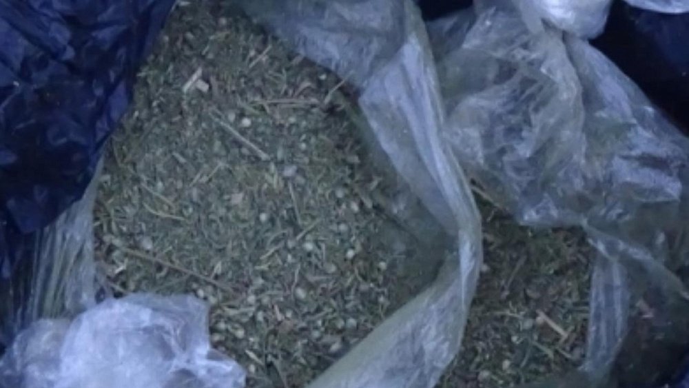 В Челябинской области задержали мужчину с 2,5 кг марихуаны