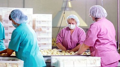 Агрохолдинг в Челябинской области запустит производство котлет для бургеров