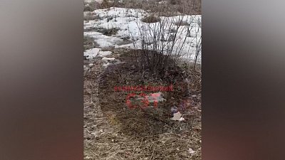 Видео с места убийства в Челябинске попало в социальные сети