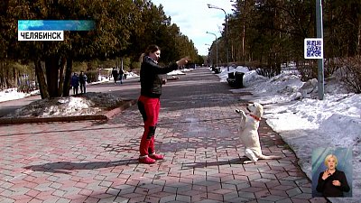 В регионе начался сезон клещей