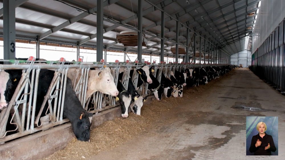 Фермеры не поднимают цены на молоко