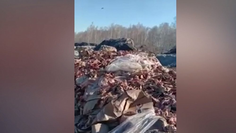 Прокуратура проверит незаконную свалку с останками животных под Челябинском