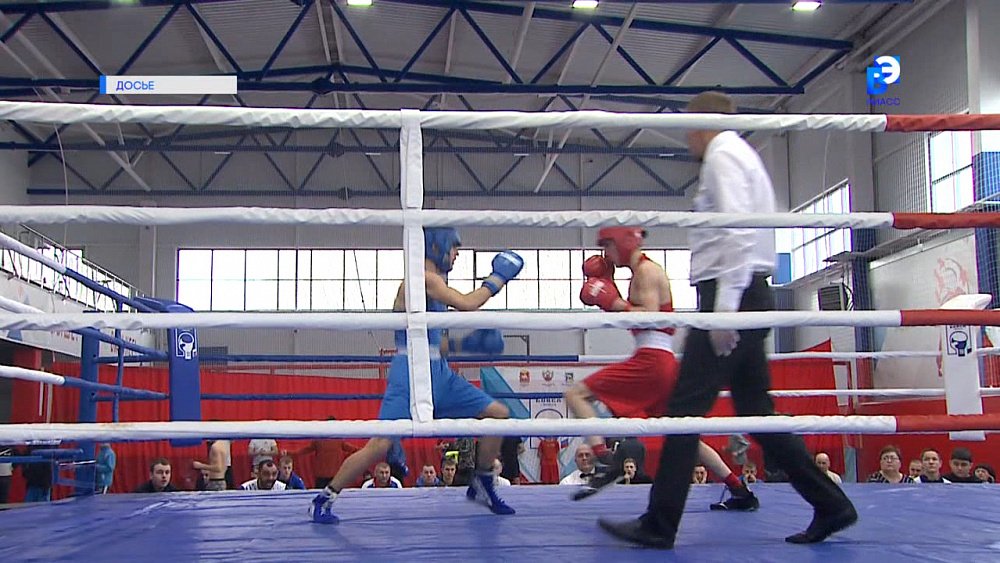 Подведены итоги Первенства УрФО по боксу