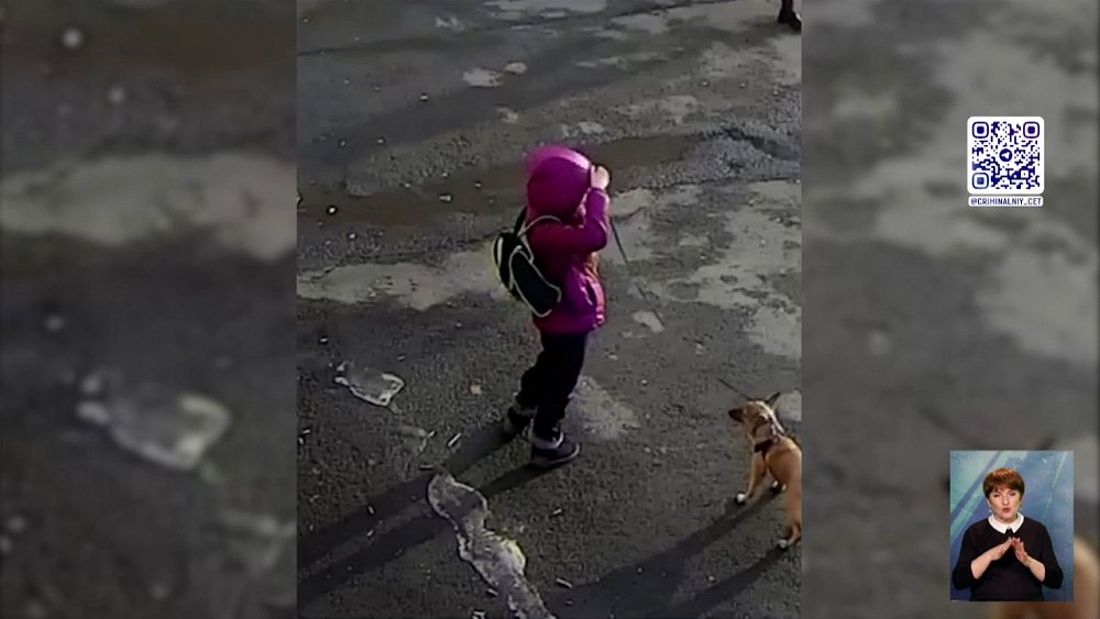 Появилась переписка живодерки с хозяином щенка