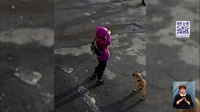 Появилась переписка живодерки с хозяином щенка