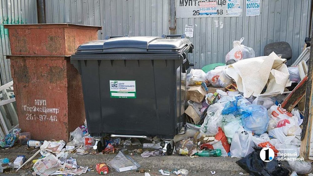 Челябинцам объяснили, что нельзя выбрасывать в мусорные контейнеры после субботников