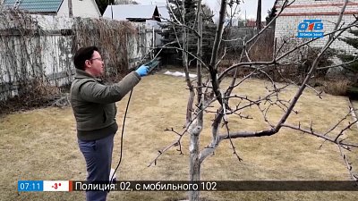 В саду или дома? Где у садоводов в апреле больше работы в рубрике «Руки садовода»